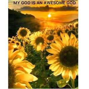 Meet your Posher, Nelda